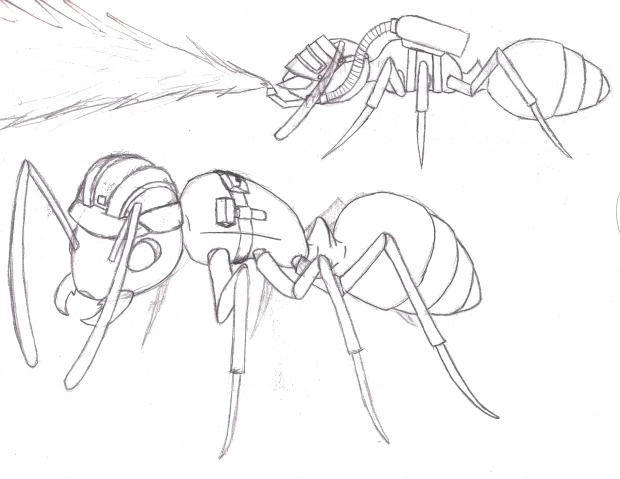 Ant_Sketch_1
